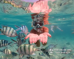 Underwater Odyssey snorkeling tour from Pattaya Thailand photo 14330