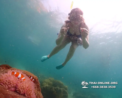 Underwater Odyssey snorkeling tour from Pattaya Thailand photo 18824