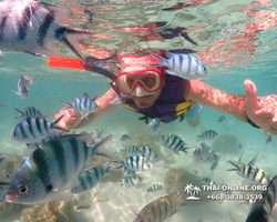 Underwater Odyssey snorkeling excursion Pattaya Thailand photo 19049