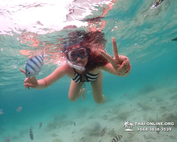 Underwater Odyssey snorkeling excursion in Pattaya Thailand photo 100