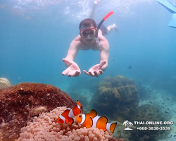 Underwater Odyssey snorkeling excursion in Pattaya Thailand photo 504