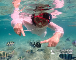 Underwater Odyssey snorkeling tour from Pattaya Thailand photo 14140