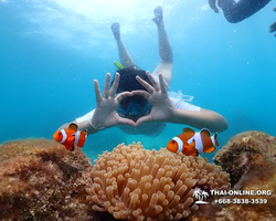 Underwater Odyssey snorkeling excursion in Pattaya Thailand photo 625