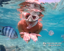 Underwater Odyssey snorkeling excursion Pattaya Thailand photo 10969