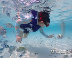 Underwater Odyssey snorkeling excursion in Pattaya Thailand photo 839