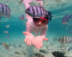Underwater Odyssey snorkeling tour from Pattaya Thailand photo 14422