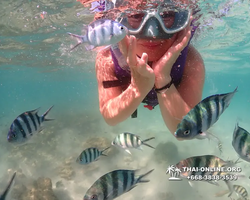 Underwater Odyssey snorkeling excursion Pattaya Thailand photo 19086