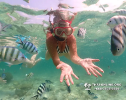 Underwater Odyssey snorkeling tour from Pattaya Thailand photo 18301