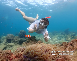 Underwater Odyssey snorkeling excursion Pattaya Thailand photo 11390