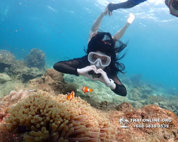 Underwater Odyssey snorkeling excursion Pattaya Thailand photo 11461