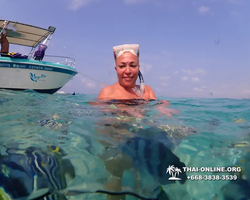 Underwater Odyssey snorkeling excursion Pattaya Thailand photo 11311