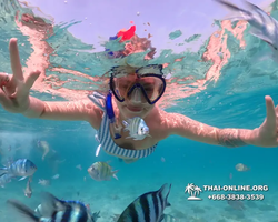 Underwater Odyssey snorkeling excursion Pattaya Thailand photo 11004