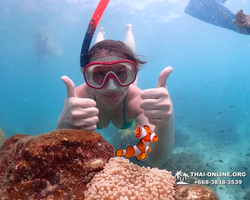 Underwater Odyssey snorkeling excursion in Pattaya Thailand photo 418