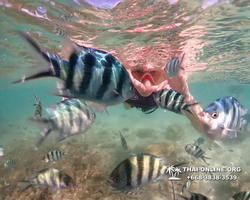 Underwater Odyssey snorkeling excursion Pattaya Thailand photo 19064