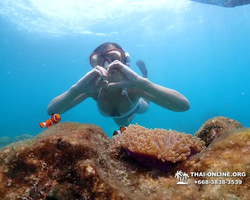 Underwater Odyssey snorkeling excursion in Pattaya Thailand photo 681