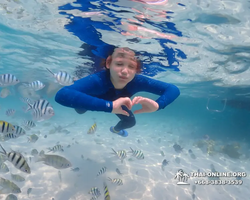 Underwater Odyssey snorkeling excursion in Pattaya Thailand photo 878