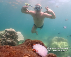 Underwater Odyssey snorkeling excursion Pattaya Thailand photo 19541