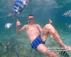 Underwater Odyssey snorkeling excursion Pattaya Thailand photo 11522