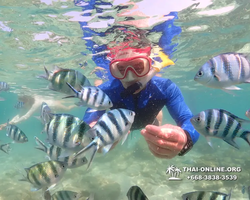 Underwater Odyssey snorkeling excursion Pattaya Thailand photo 14725