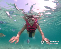 Underwater Odyssey snorkeling tour from Pattaya Thailand photo 18333