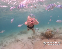 Underwater Odyssey snorkeling excursion in Pattaya Thailand photo 201