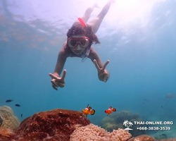 Underwater Odyssey snorkeling excursion in Pattaya Thailand photo 578