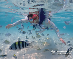 Underwater Odyssey snorkeling excursion in Pattaya Thailand photo 806