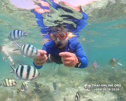 Underwater Odyssey snorkeling excursion Pattaya Thailand photo 14885