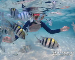 Underwater Odyssey snorkeling excursion in Pattaya Thailand photo 887