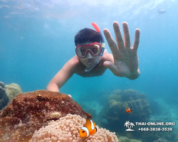 Underwater Odyssey snorkeling excursion in Pattaya Thailand photo 481