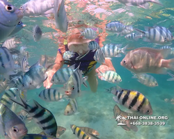 Underwater Odyssey snorkeling excursion Pattaya Thailand photo 11539