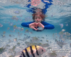 Underwater Odyssey snorkeling excursion in Pattaya Thailand photo 635