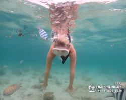 Underwater Odyssey snorkeling excursion in Pattaya Thailand photo 250