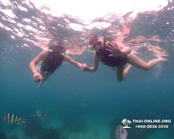 Underwater Odyssey snorkeling excursion in Pattaya Thailand photo 112