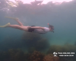 Underwater Odyssey snorkeling excursion in Pattaya Thailand photo 350