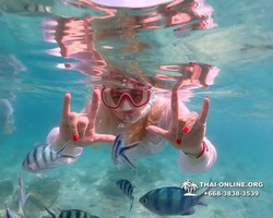 Underwater Odyssey snorkeling tour from Pattaya Thailand photo 14543