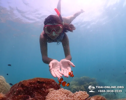 Underwater Odyssey snorkeling excursion in Pattaya Thailand photo 577