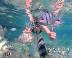 Underwater Odyssey snorkeling tour from Pattaya Thailand photo 14247