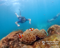 Underwater Odyssey snorkeling excursion in Pattaya Thailand photo 652