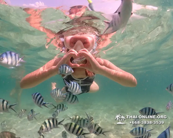 Underwater Odyssey snorkeling tour from Pattaya Thailand photo 18316