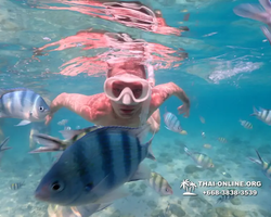 Underwater Odyssey snorkeling excursion Pattaya Thailand photo 11133