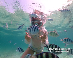 Underwater Odyssey snorkeling tour from Pattaya Thailand photo 18354