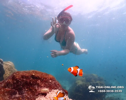 Underwater Odyssey snorkeling excursion in Pattaya Thailand photo 557