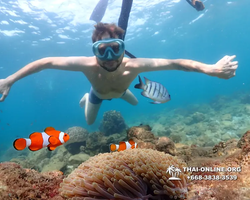 Underwater Odyssey snorkeling excursion Pattaya Thailand photo 11336
