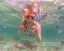 Underwater Odyssey snorkeling tour from Pattaya Thailand photo 18471