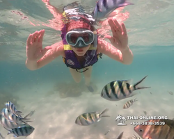 Underwater Odyssey snorkeling excursion Pattaya Thailand photo 19545