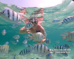 Underwater Odyssey snorkeling tour from Pattaya Thailand photo 18278