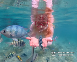 Underwater Odyssey snorkeling tour from Pattaya Thailand photo 14567