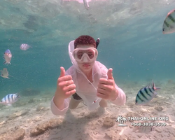 Underwater Odyssey snorkeling tour from Pattaya Thailand photo 18546