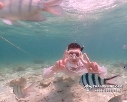 Underwater Odyssey snorkeling tour from Pattaya Thailand photo 18760